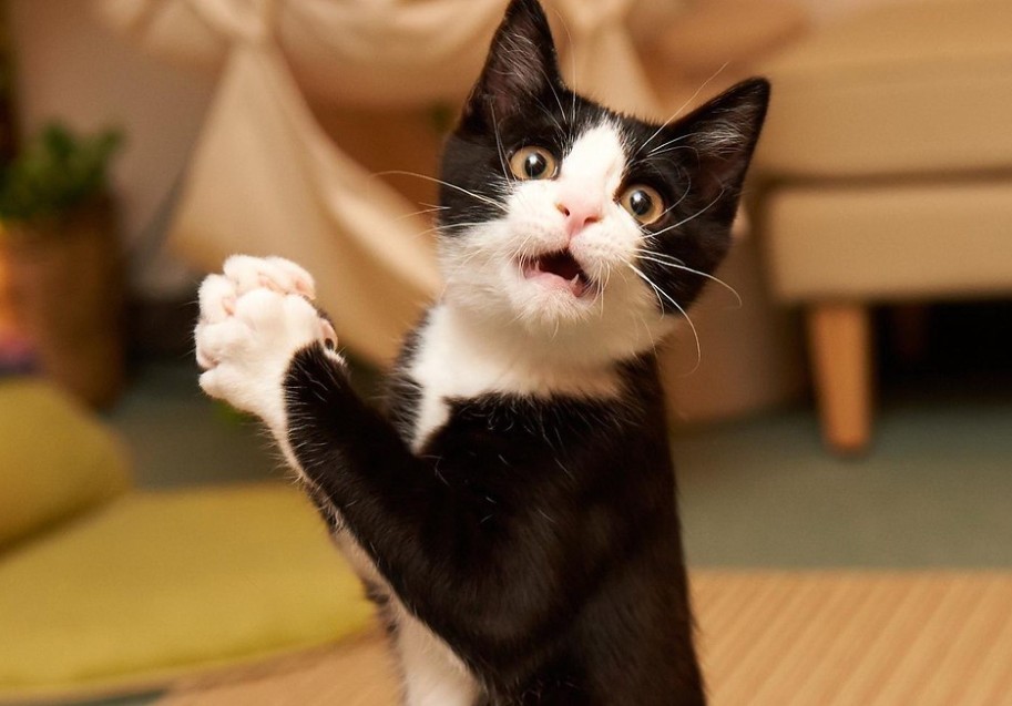 Не ругайте меня, я всё осознал