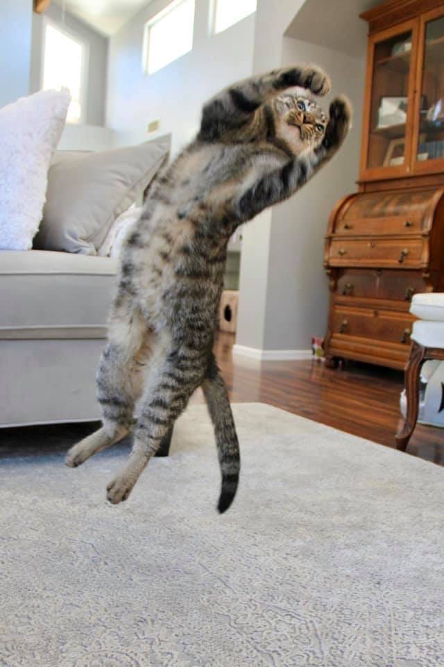 А мне, в балет охото