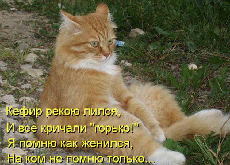 Вот, как бывает