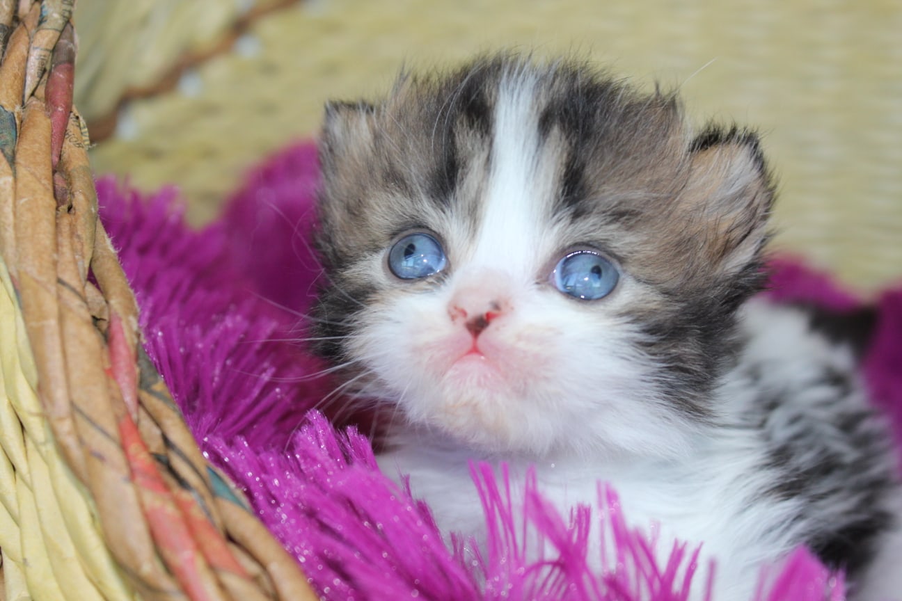 Хотите меня понянчить, я не против