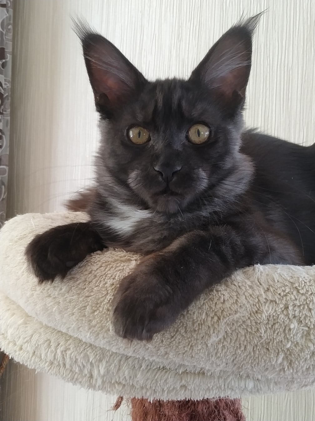 Вы меня каждый день фоткаете, не надоело