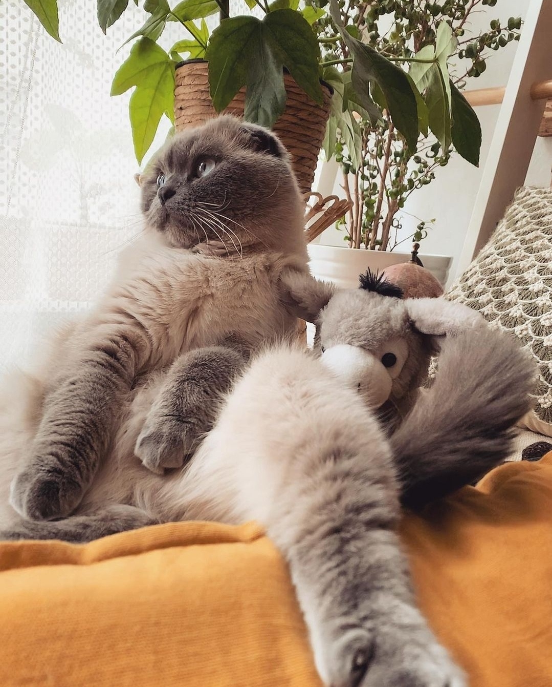 Жизнь прекрасна, но чего - то не хватает