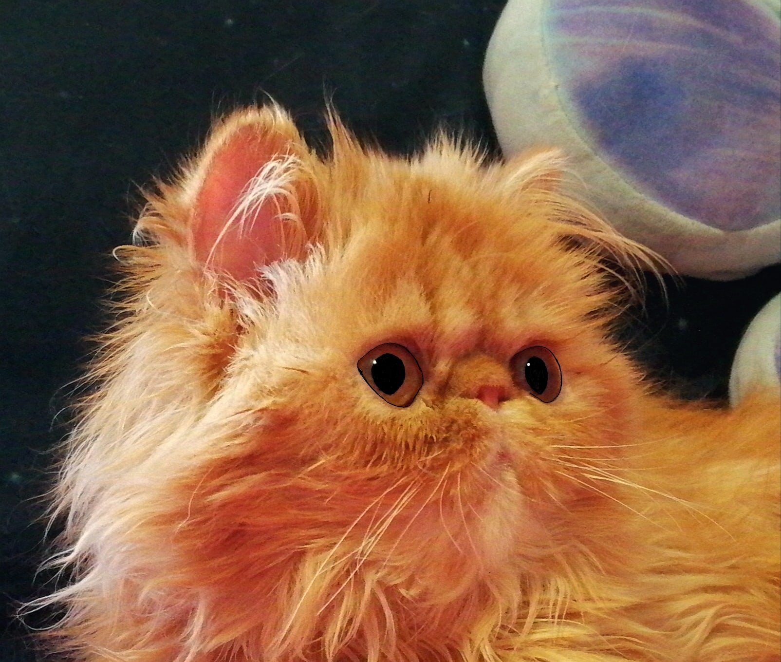 Я не рыжая наглая морда, а очаровательный парнишка