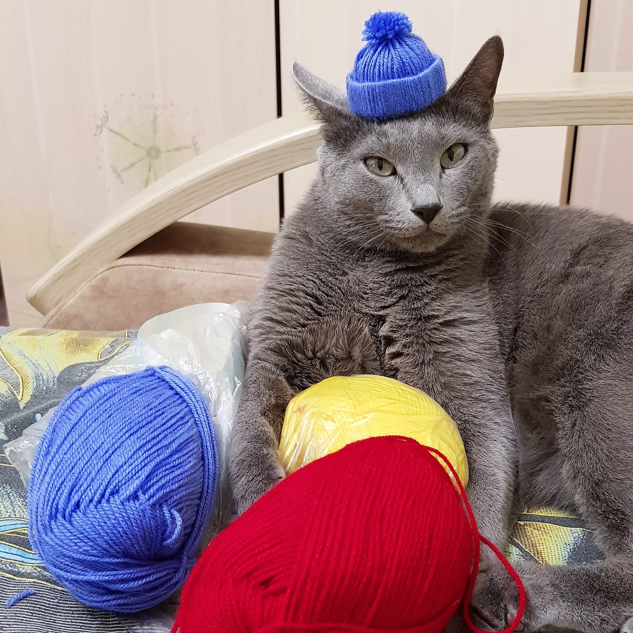 Я конечно мечтал о шапочке, но не о такой