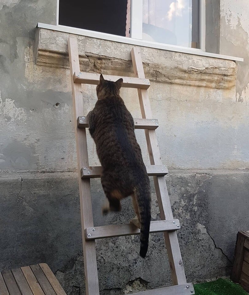 Когда, Вы уже - лифт установите