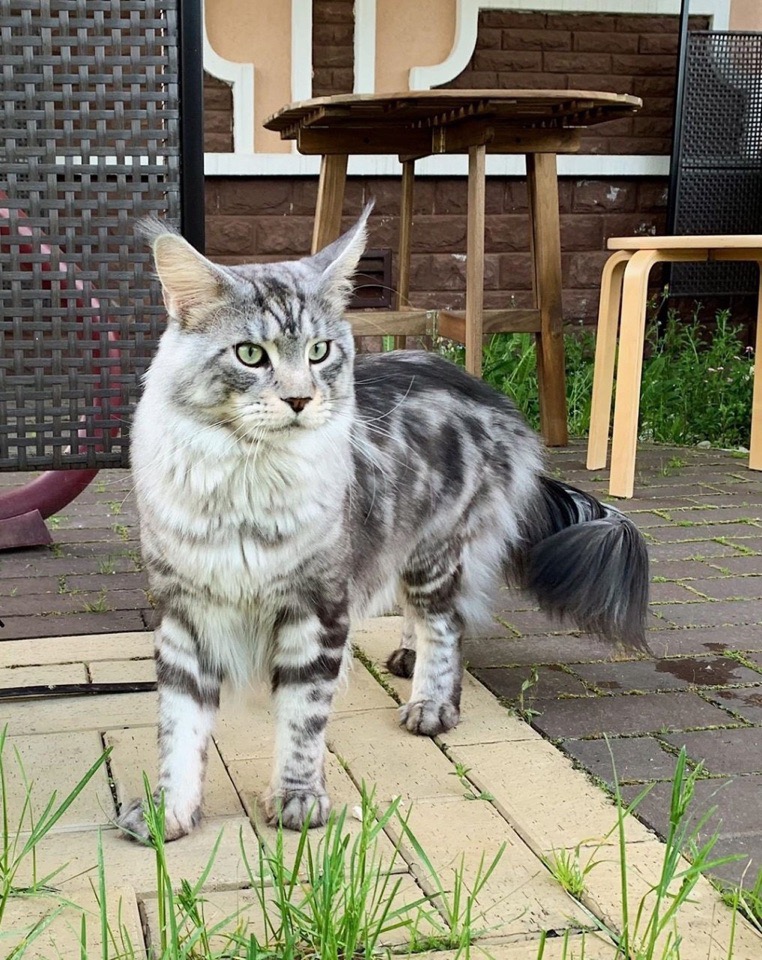 Каждый день гости приходят, когда отдыхать то