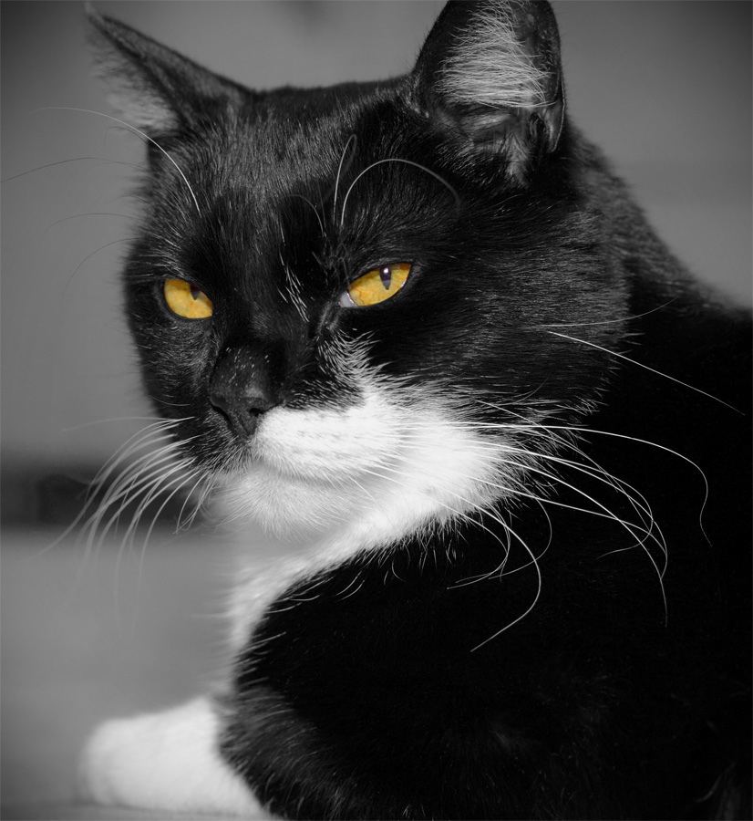 Вы говорите, я Вас слушаю