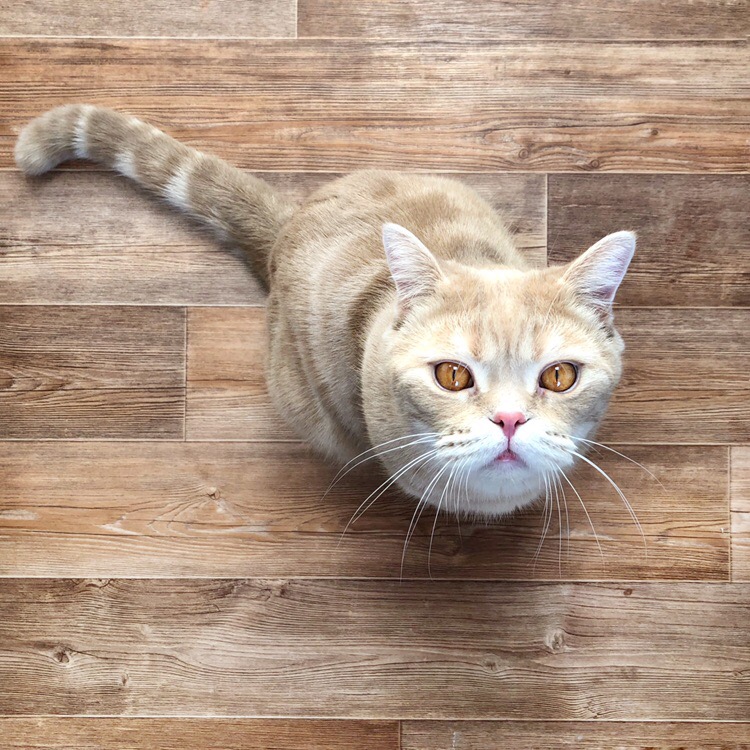 Возьмите меня на ручки и пожалейте