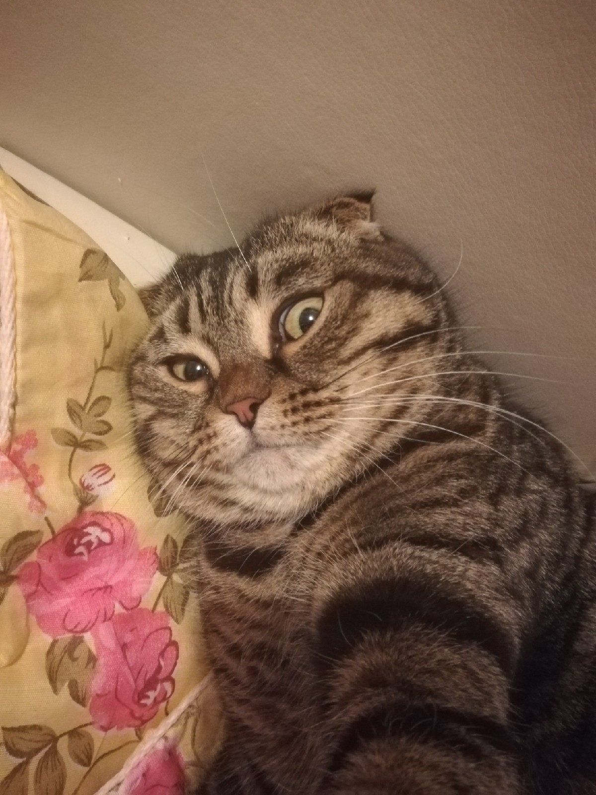 У меня сегодня не игручее настроение