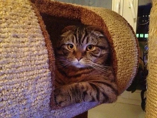 Кого прокатить с ветерком