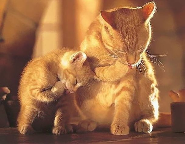 Сынуля, повторяй за мамой