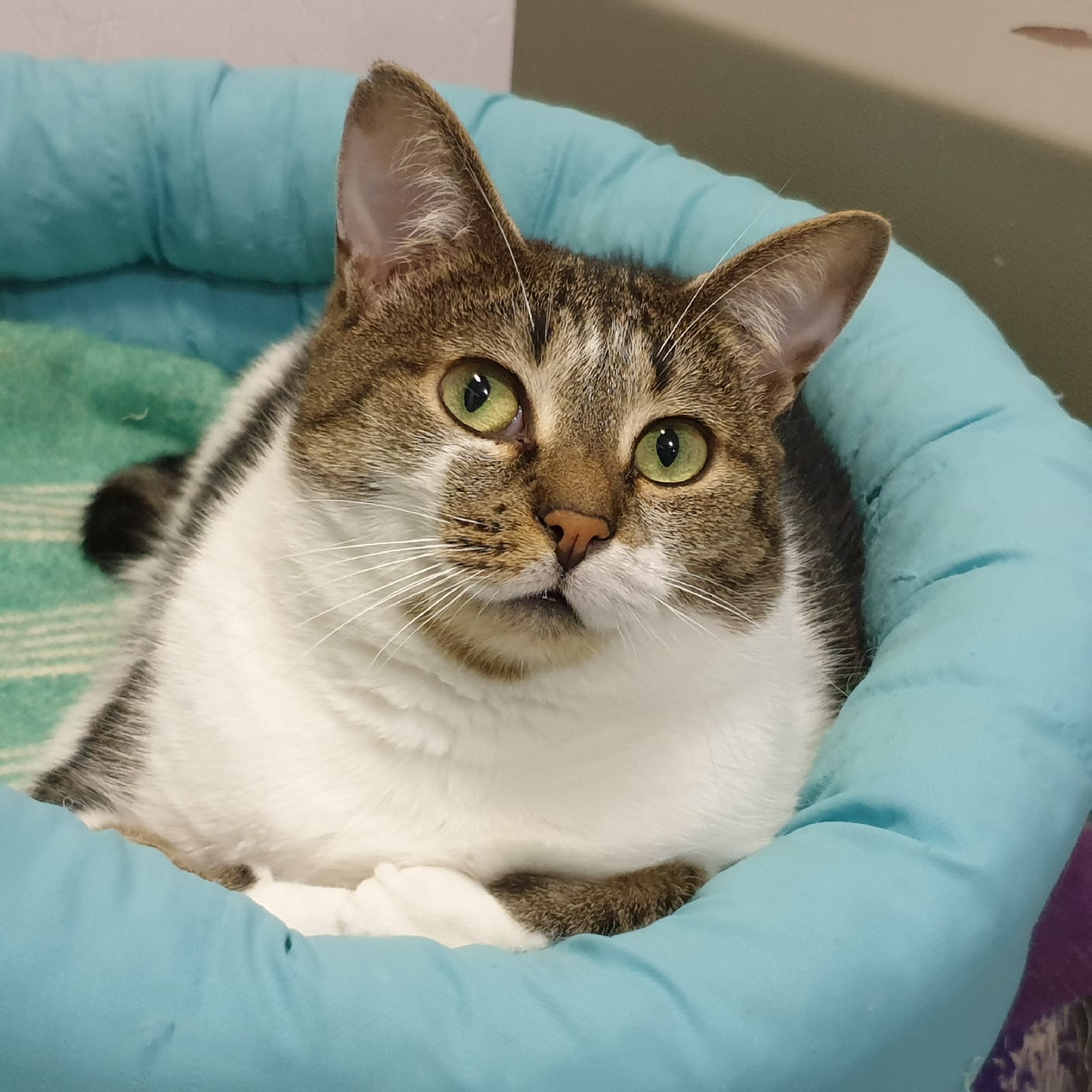 Спать или не спать, вот в чём вопрос