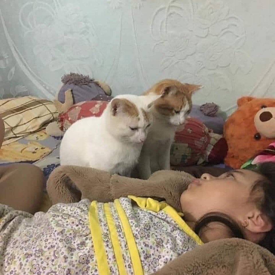 Кормилица наша, когда же ты встанешь