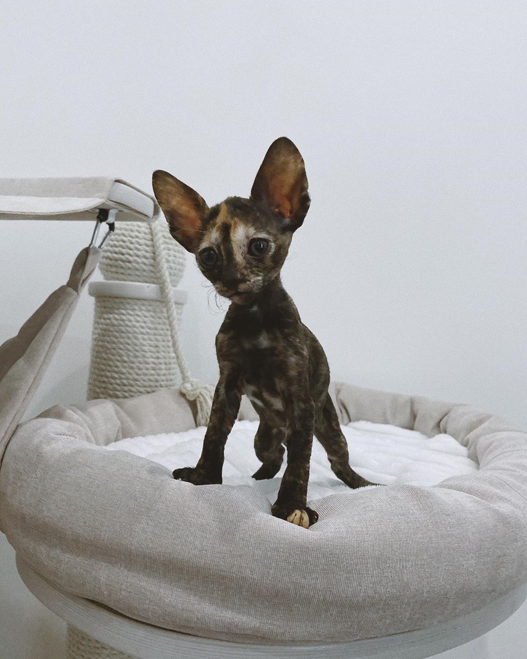 Я выспалась, давайте развлекаться