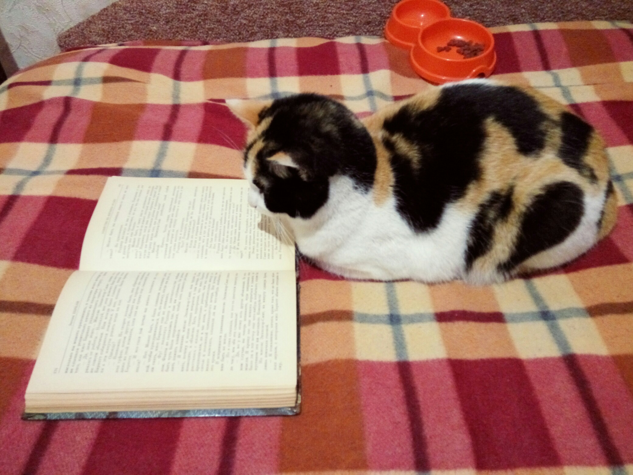 Ох и книжка, интересная попалась