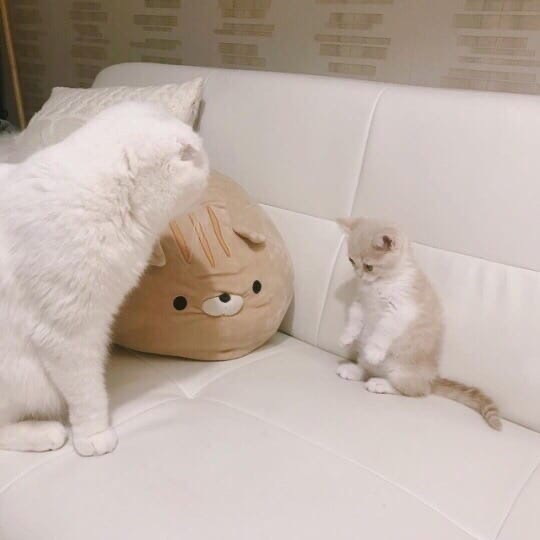 Воспитательный процесс