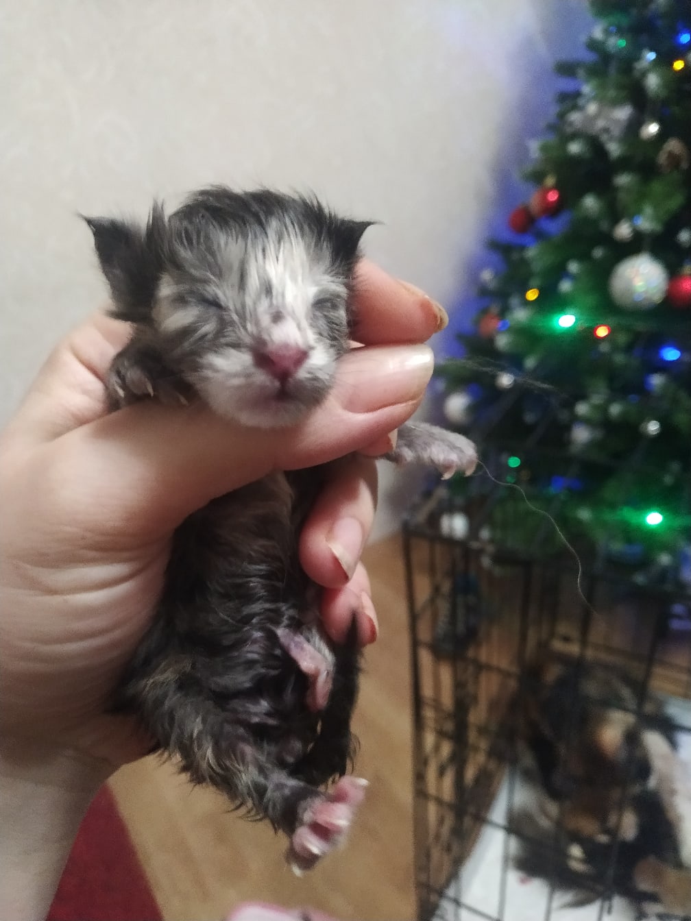 В Новый год - Новая жизнь