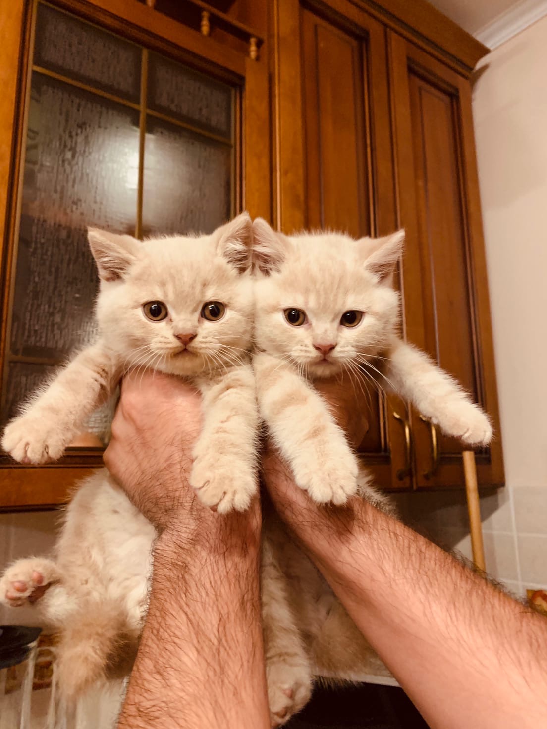 Ну всё, добегались хулиганы