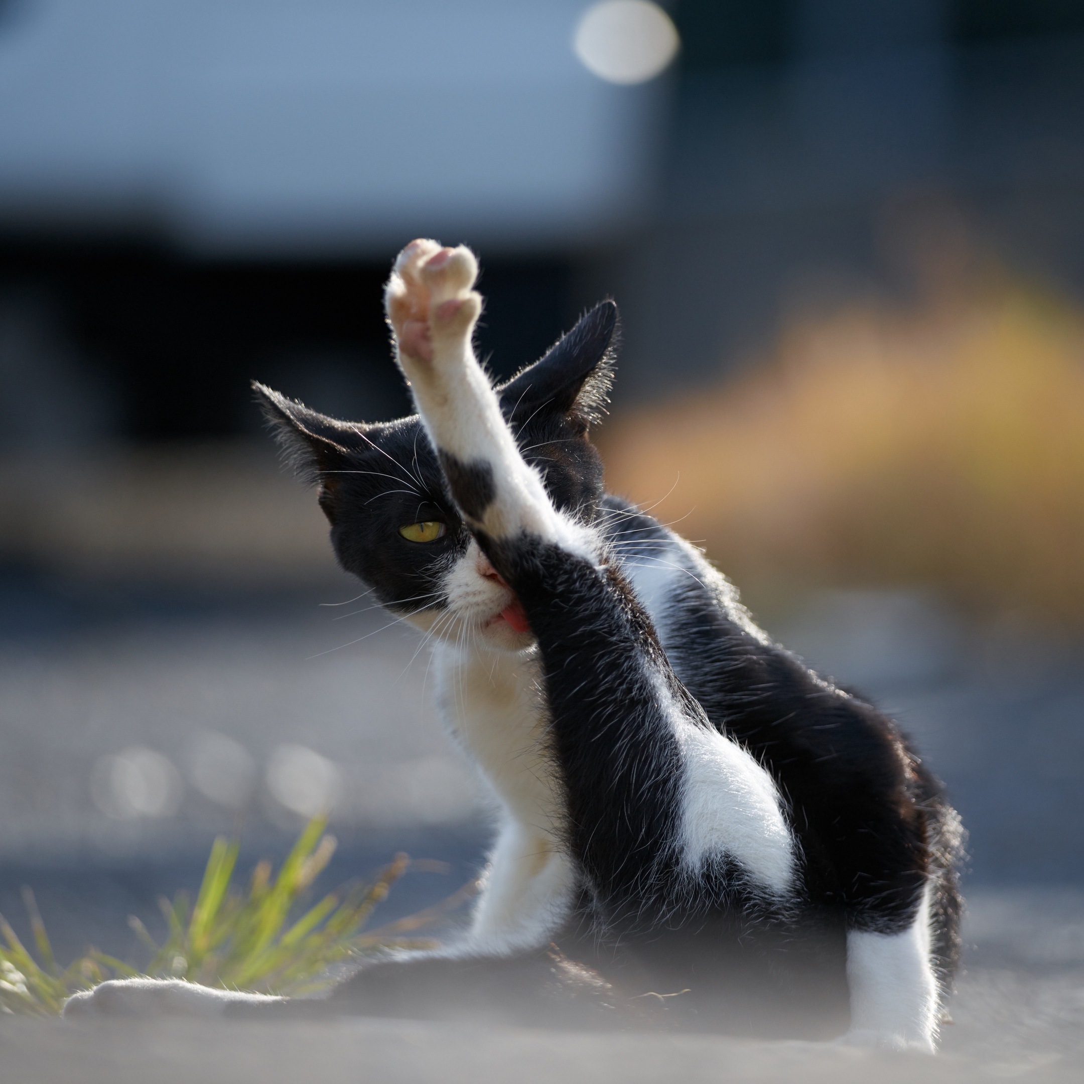 Рассвет - это самое лучшее время для занятия йогой