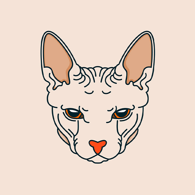 Аватар морда Бамбино