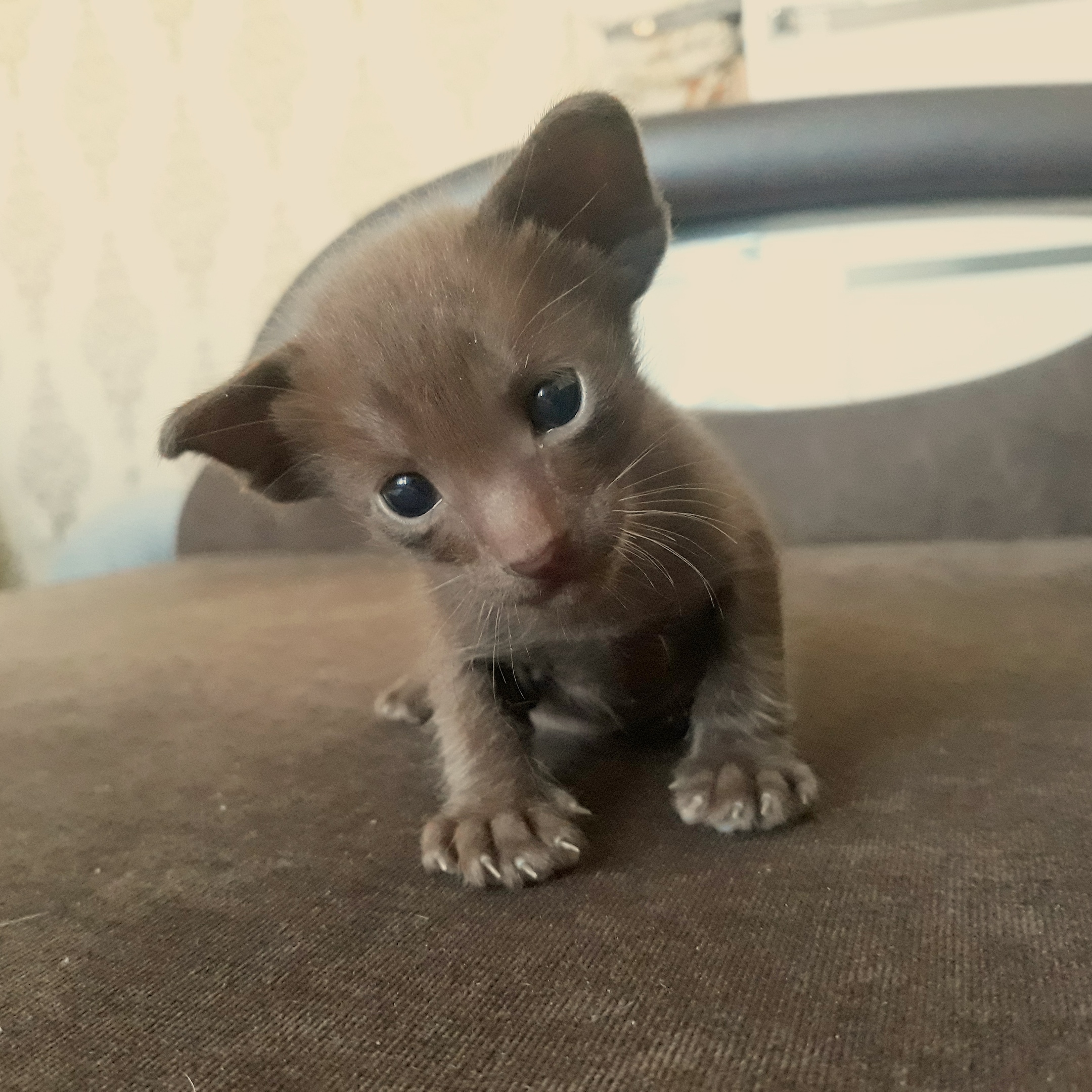 Можно с Вами - познакомиться