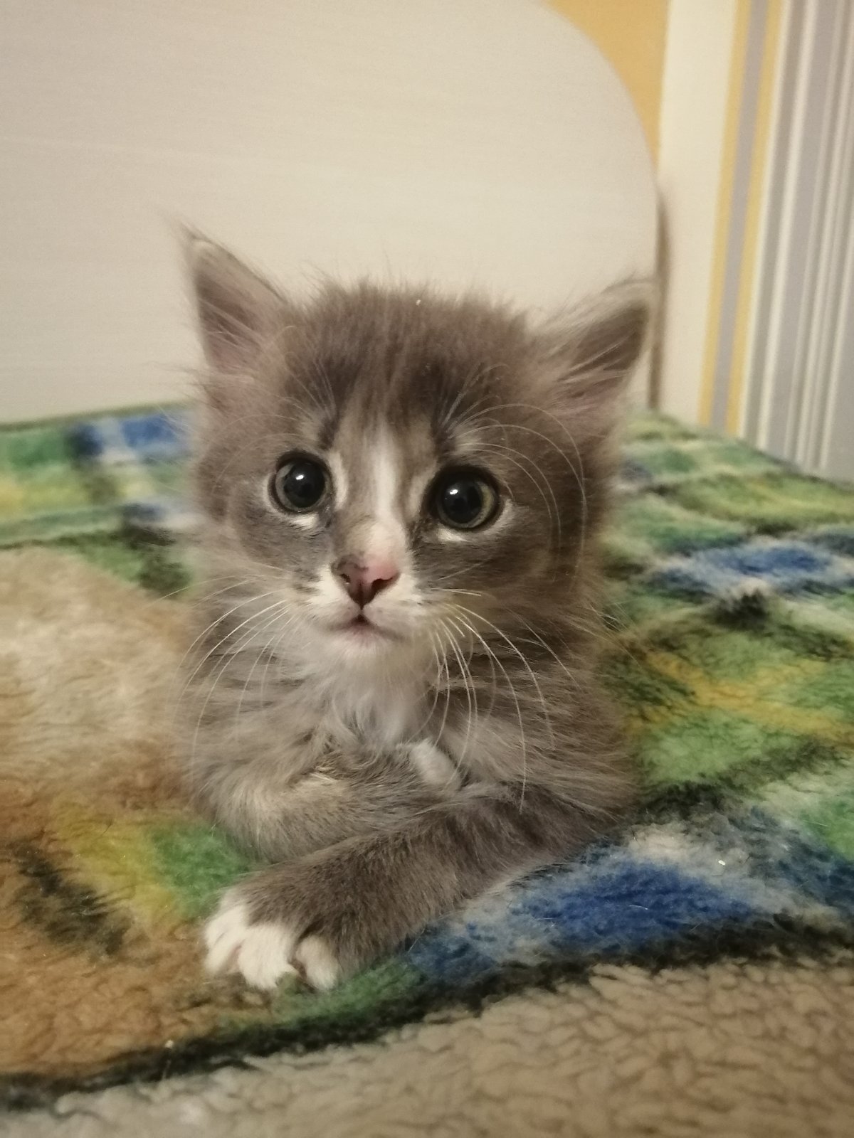 Стесняюсь спросить, скоро меня накормят завтраком