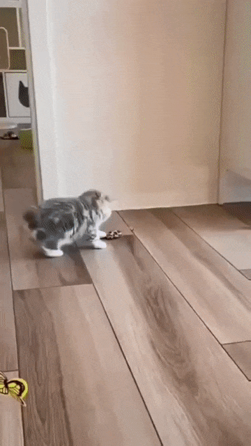 Шлифовка ленолеума