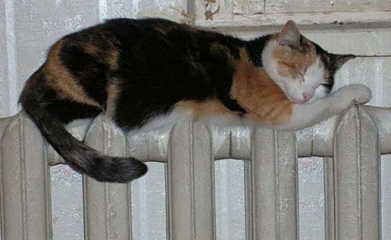 Лето пришло, а привычка осталась