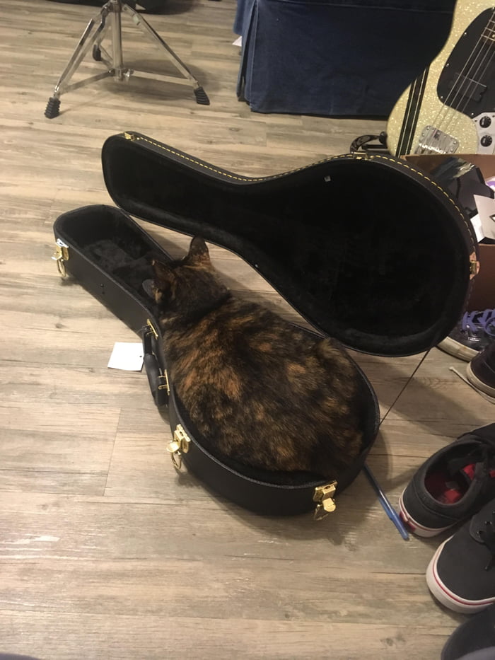 Наконец - то, я нашла коробочку под мой размерчик