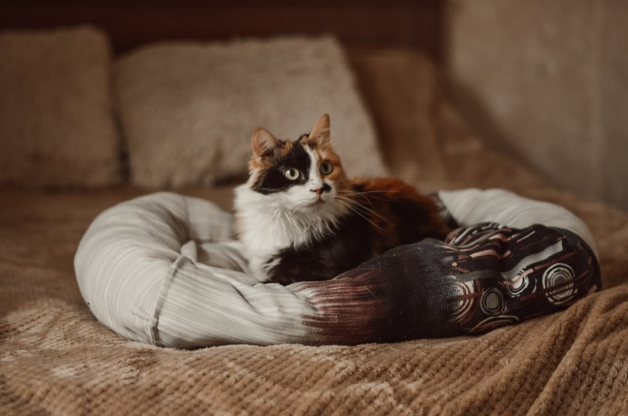 Вы уже выспались, а я ещё нет