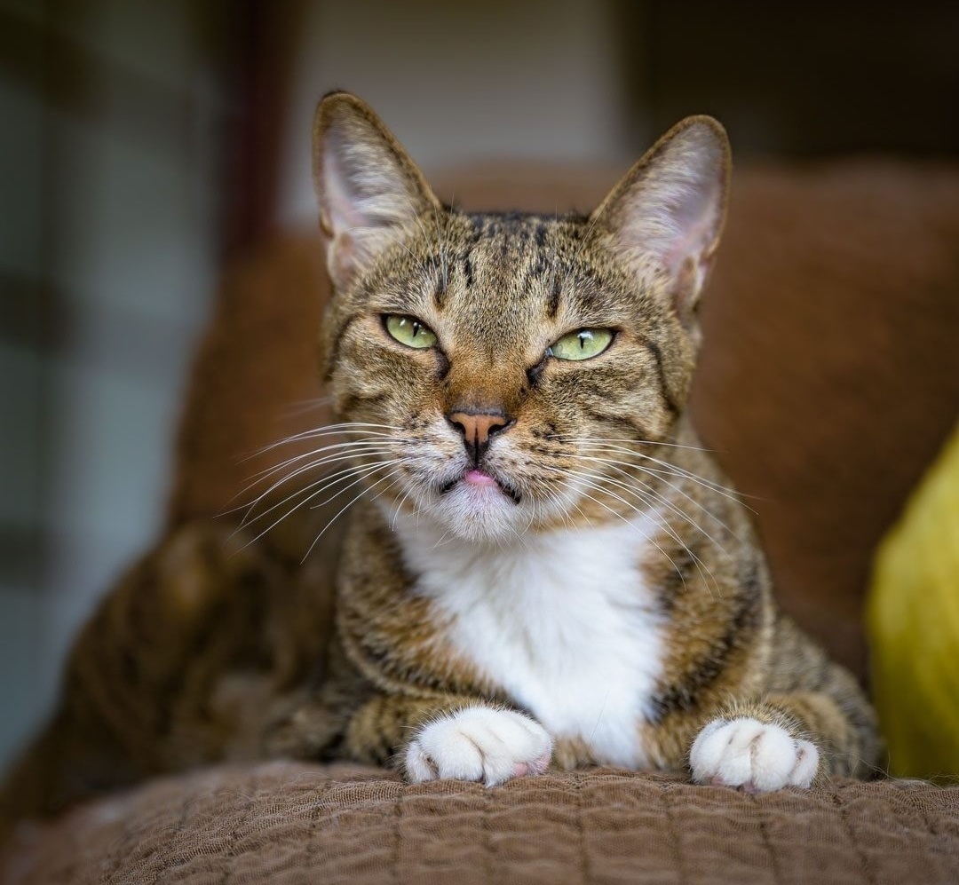 Я выспался и говорят к приключениям