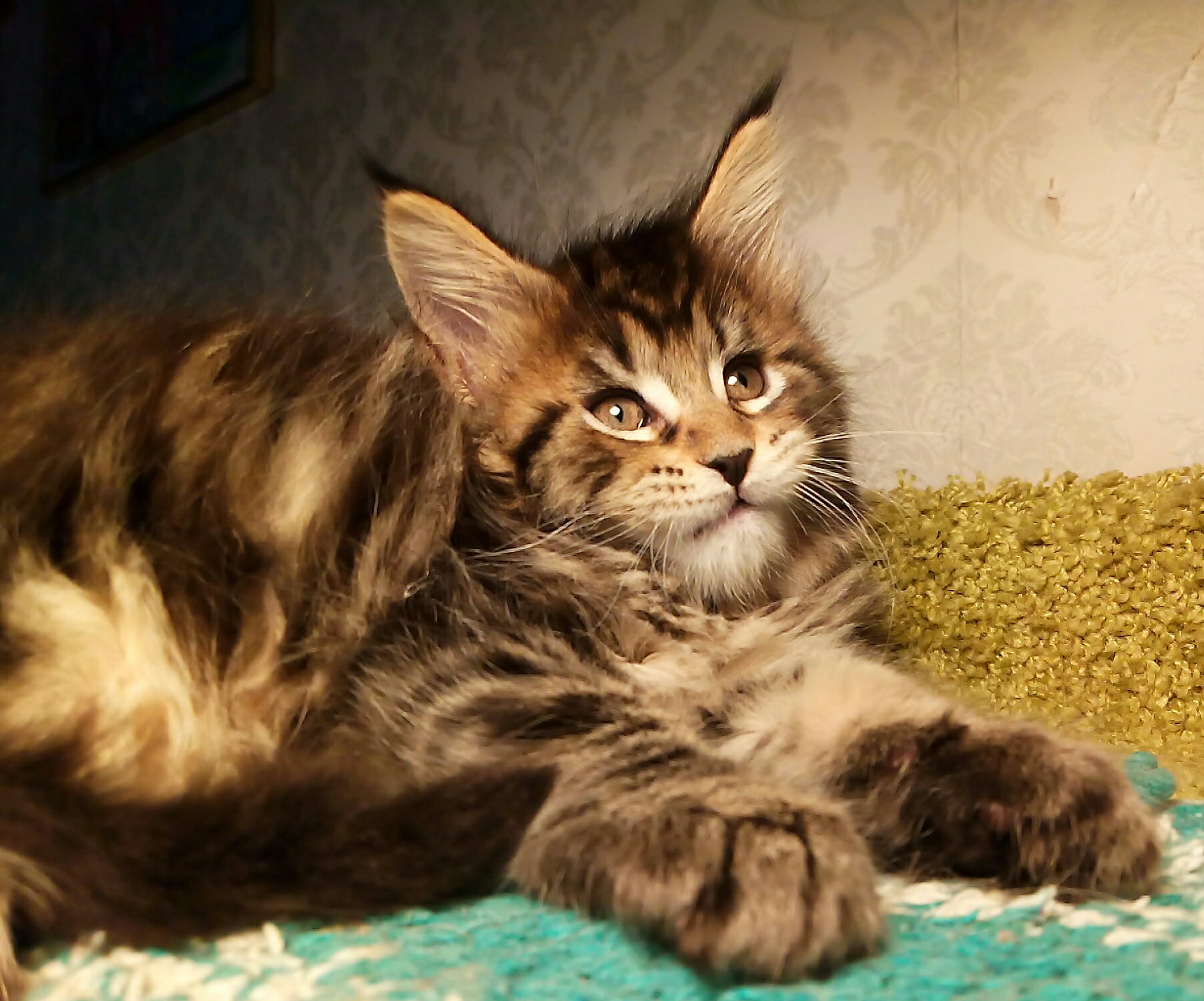 Меня не учили место уступать, так что поищите другое