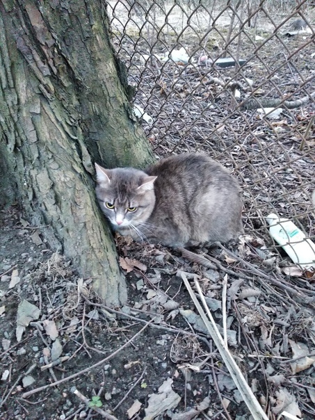 Я боюсь с Вами знакомиться, вдруг обидите