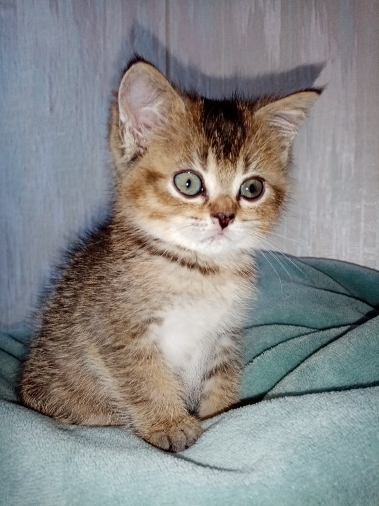 Вы собираетесь, меня спать укладывать