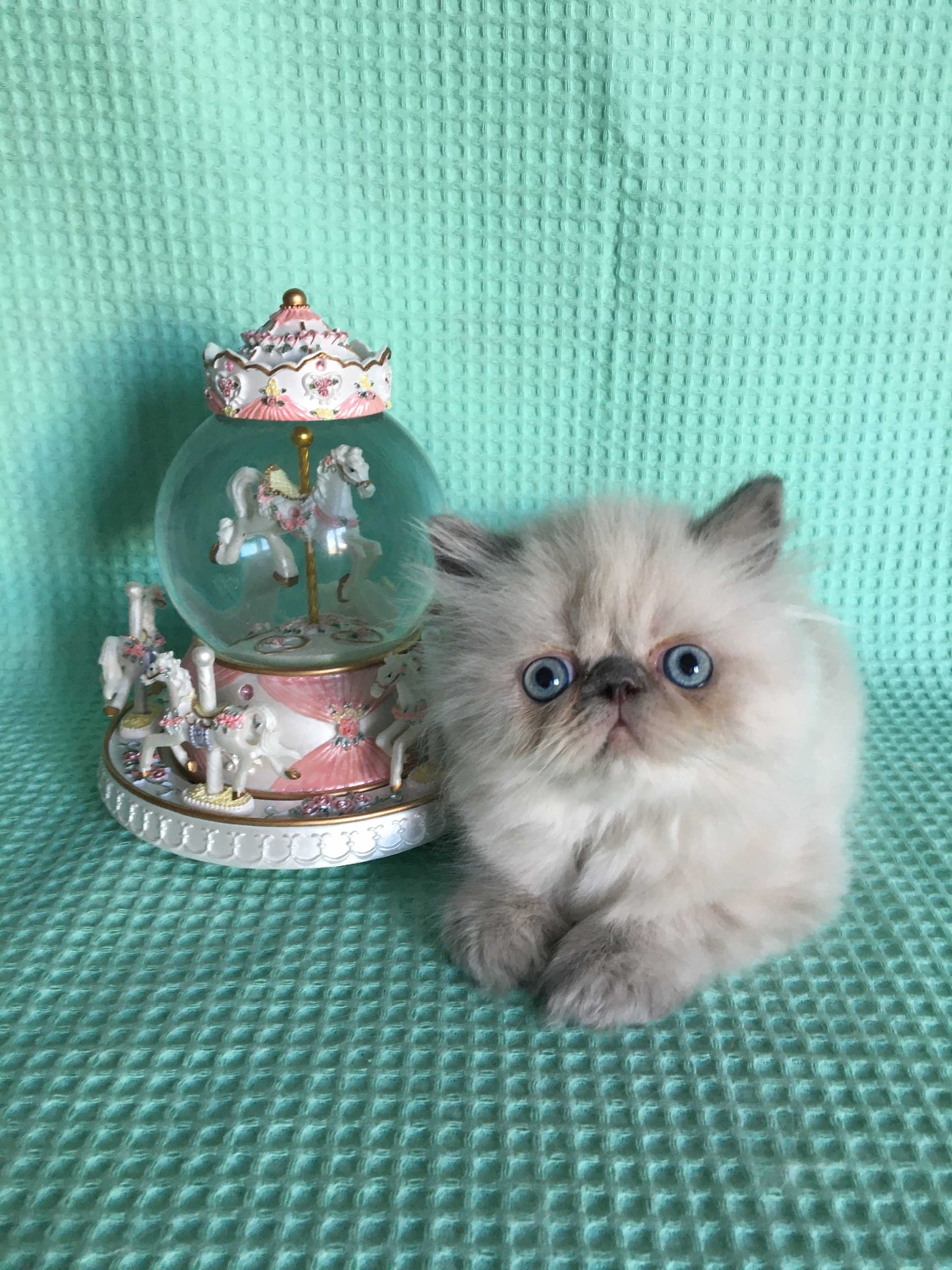 Я с игрушкой поиграла, а она петь перестала