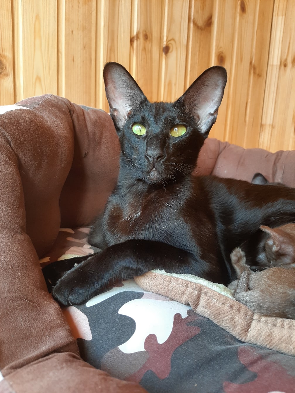 Доброе утро, а мы уже завтракаем