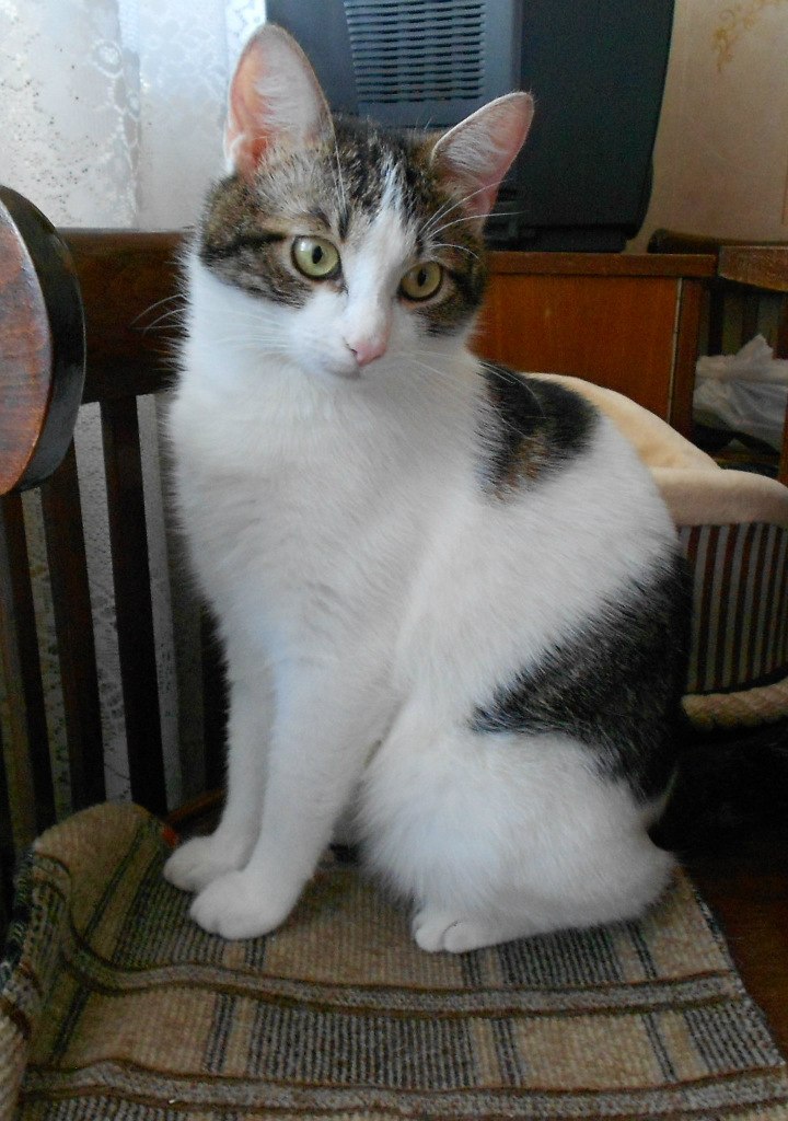 Непоседливая у меня бабуля, приходится за ней присматривать