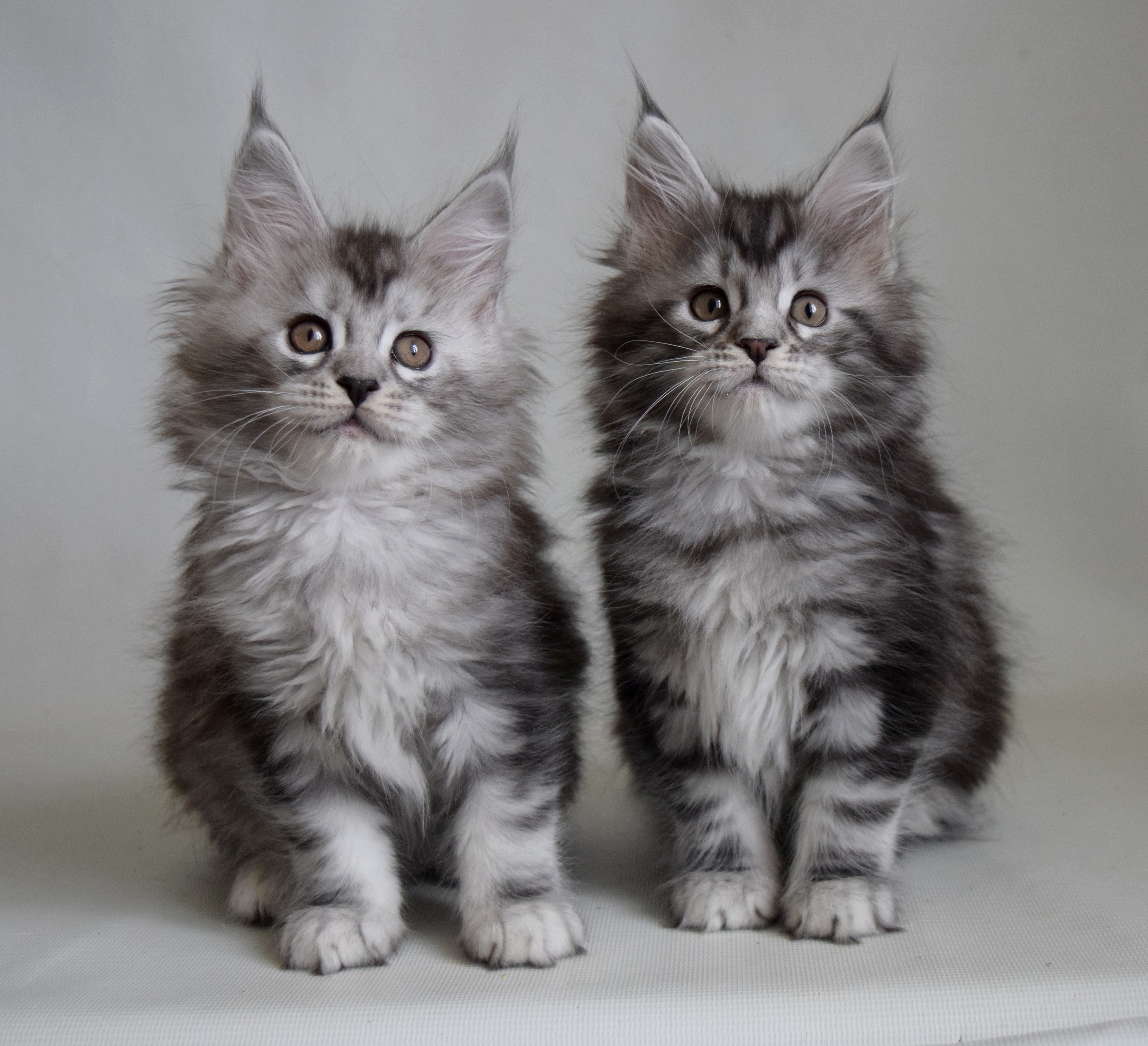 Мы зарядку сделали, умылись, давайте завтрак