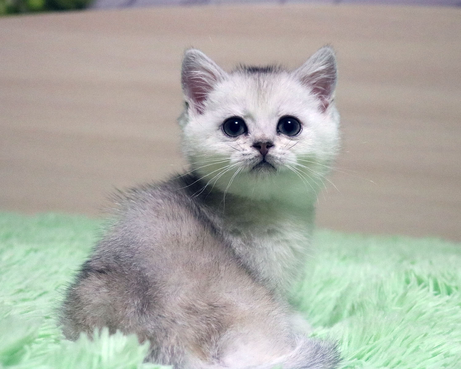 Ребёнок проснулся, а нянек рядом нет