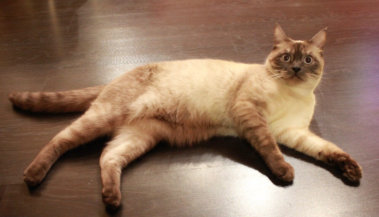 Я с утра до вечера, ничего не делала