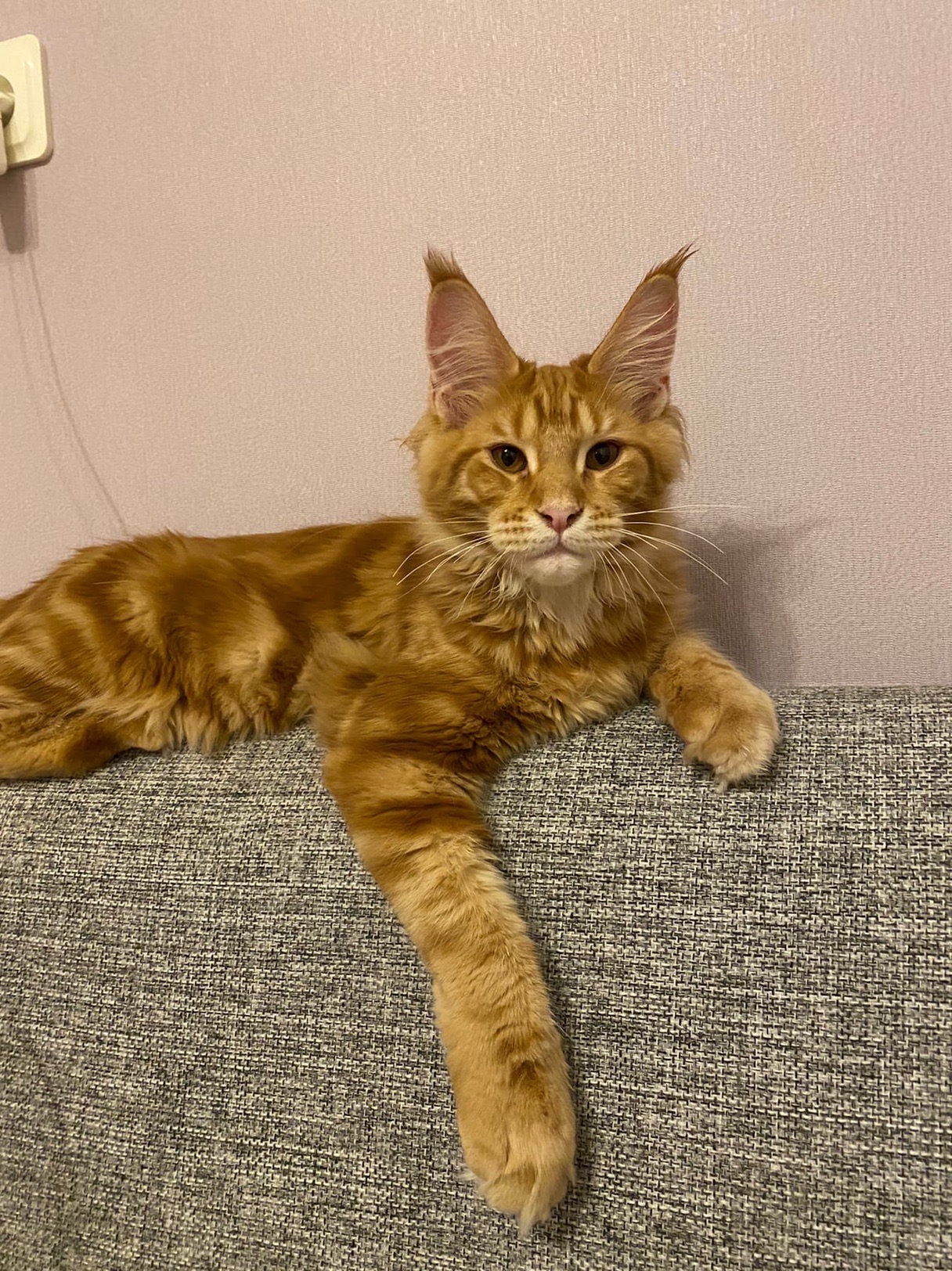 Вы, что так рано проснулись, сегодня же суббота