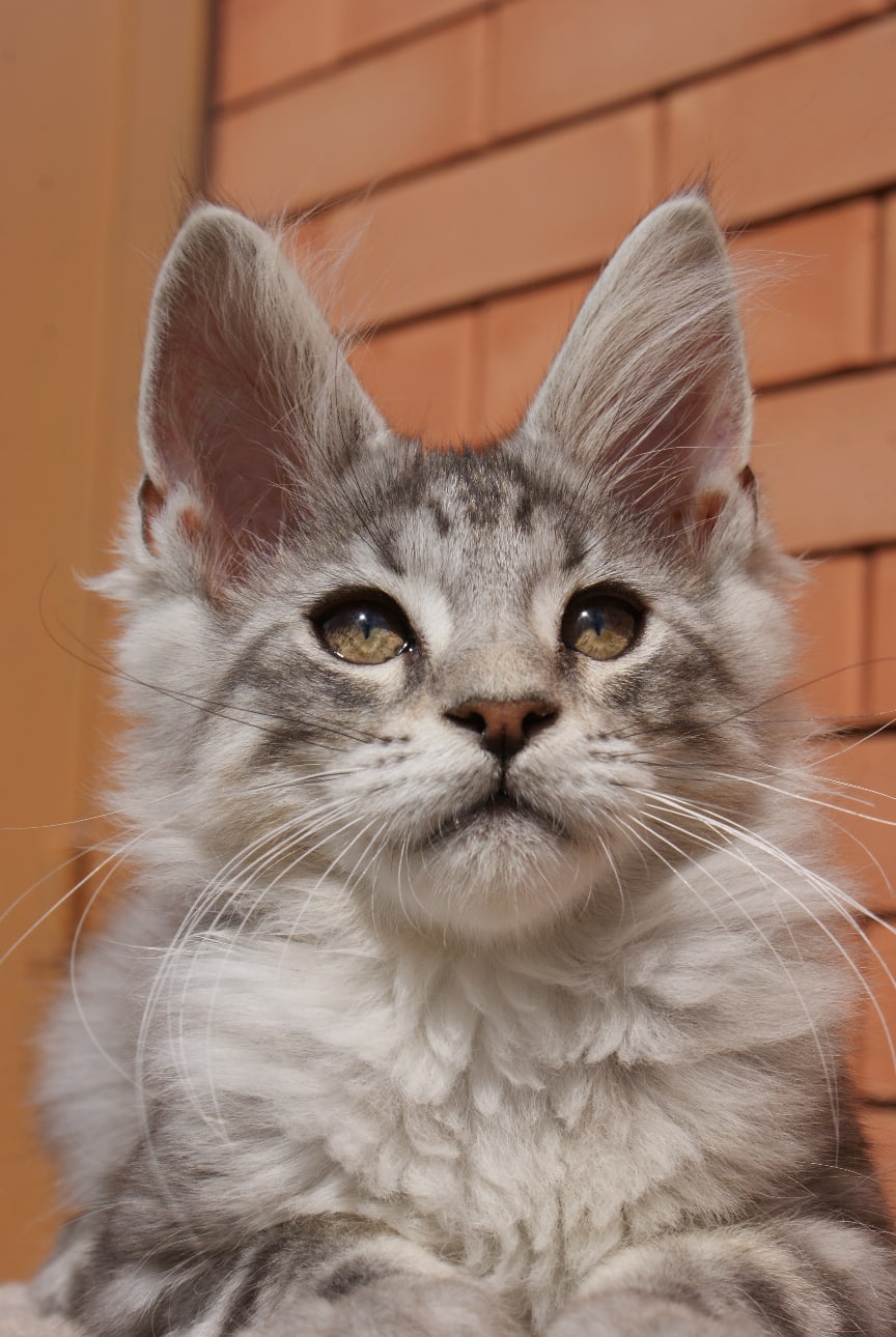 Какую бы развлекуху, на сегодня придумать