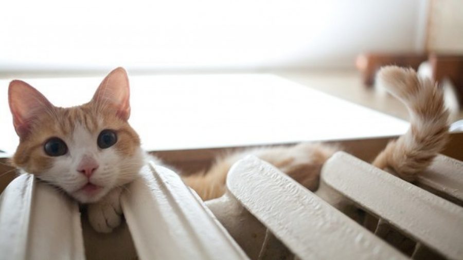 Что - то стало холодать