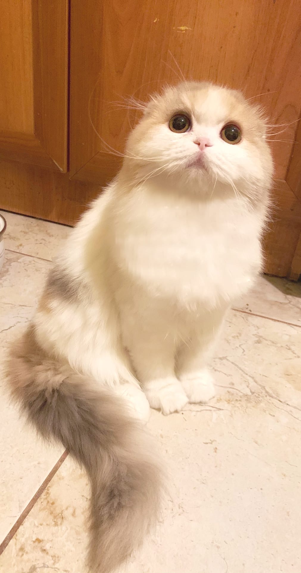 Можно мне, за мои красивые глазки, побольше вкусняшек