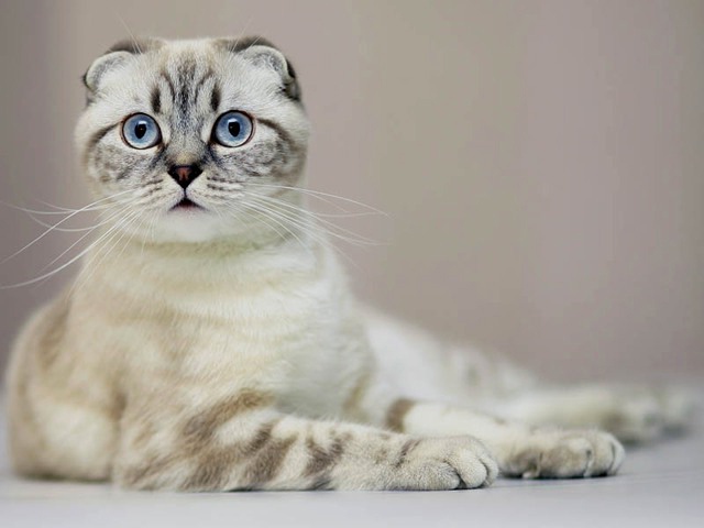 Вы на работу, а еду мне положили