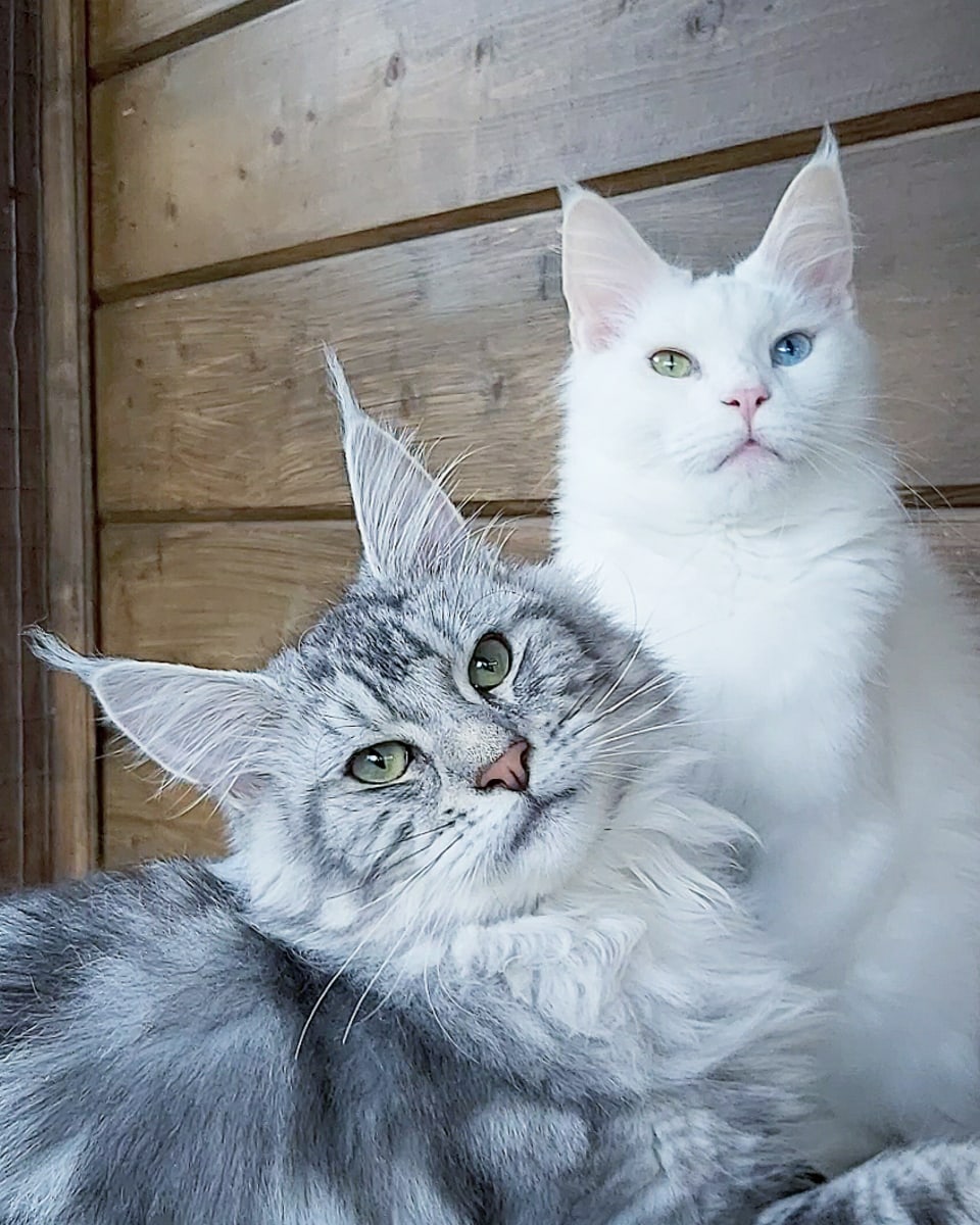 А мы решаем, чем заняться вечерком