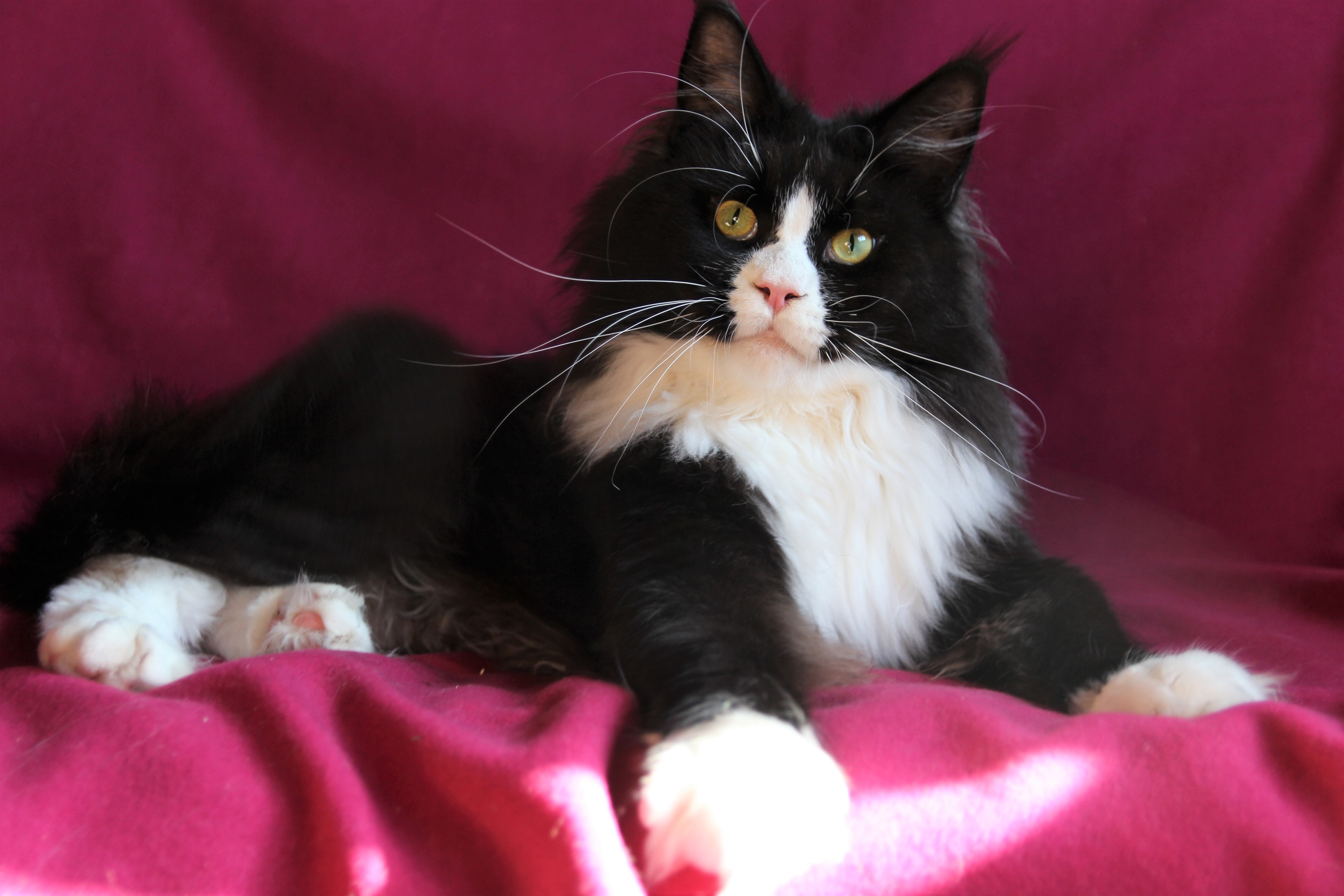 Я жду - комплименты