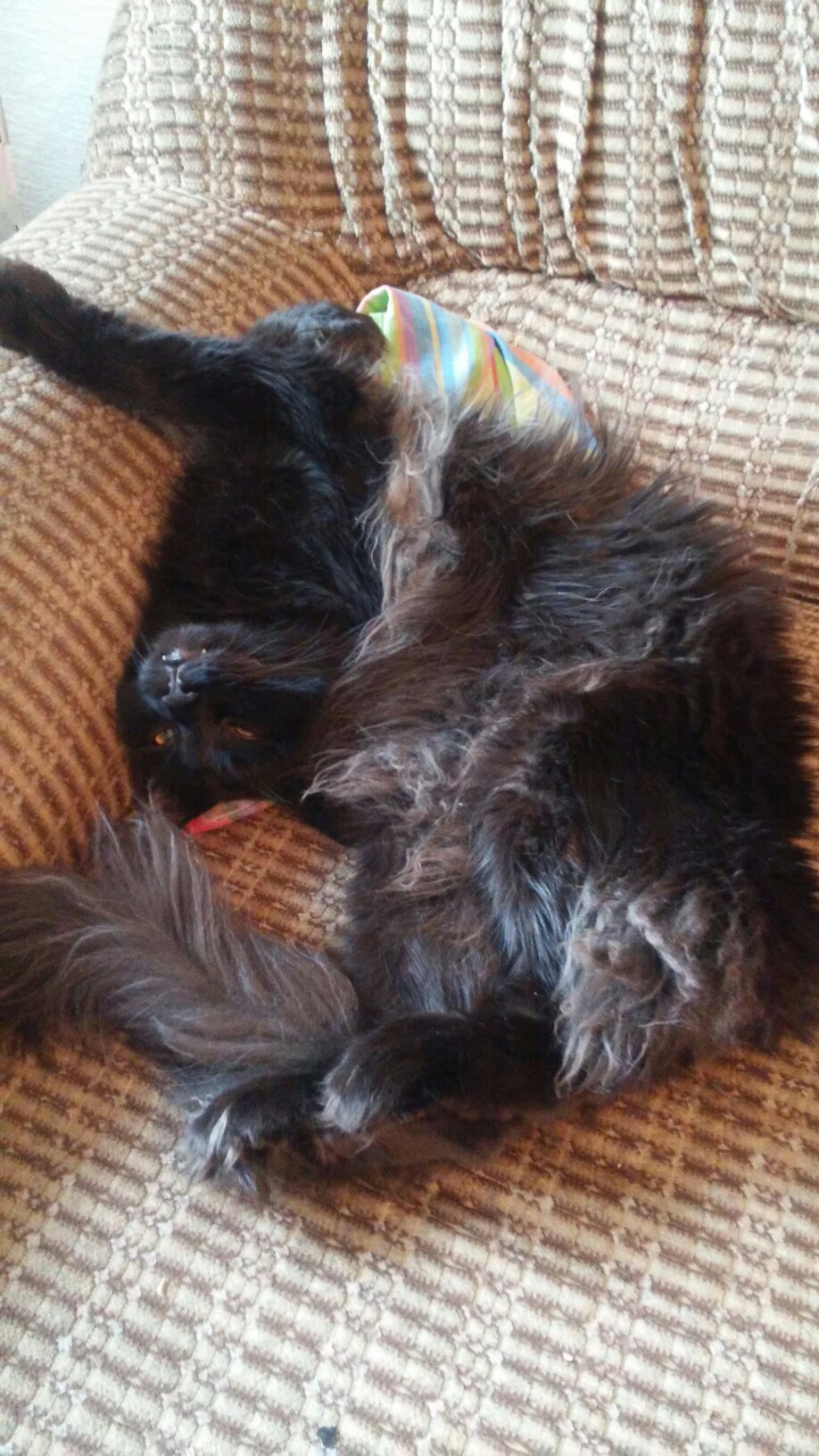 Завидуйте, мне на работу идти не надо