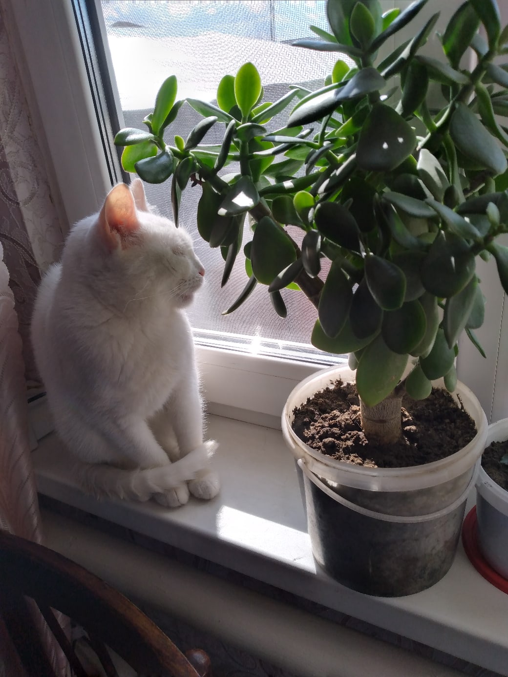 Солнце светит в левый глаз