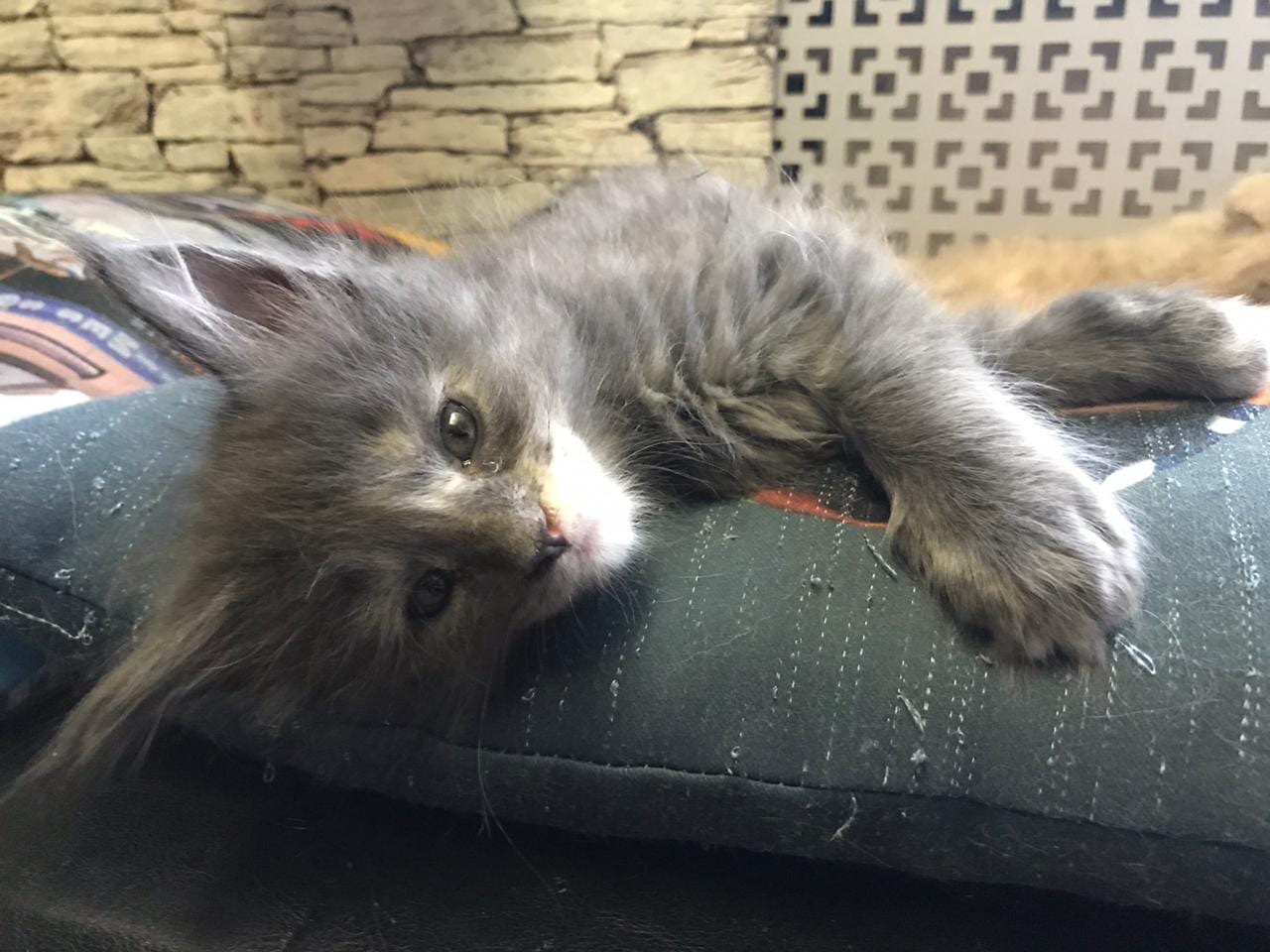 Вы уже проснулись, а я что - то никак